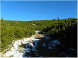 Planina Ravne - Kapelica na Molički planini